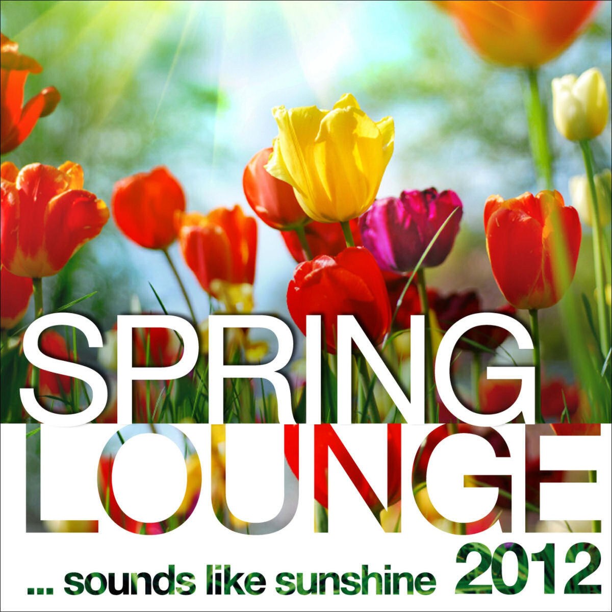Album cover of Spring Lounge 2012