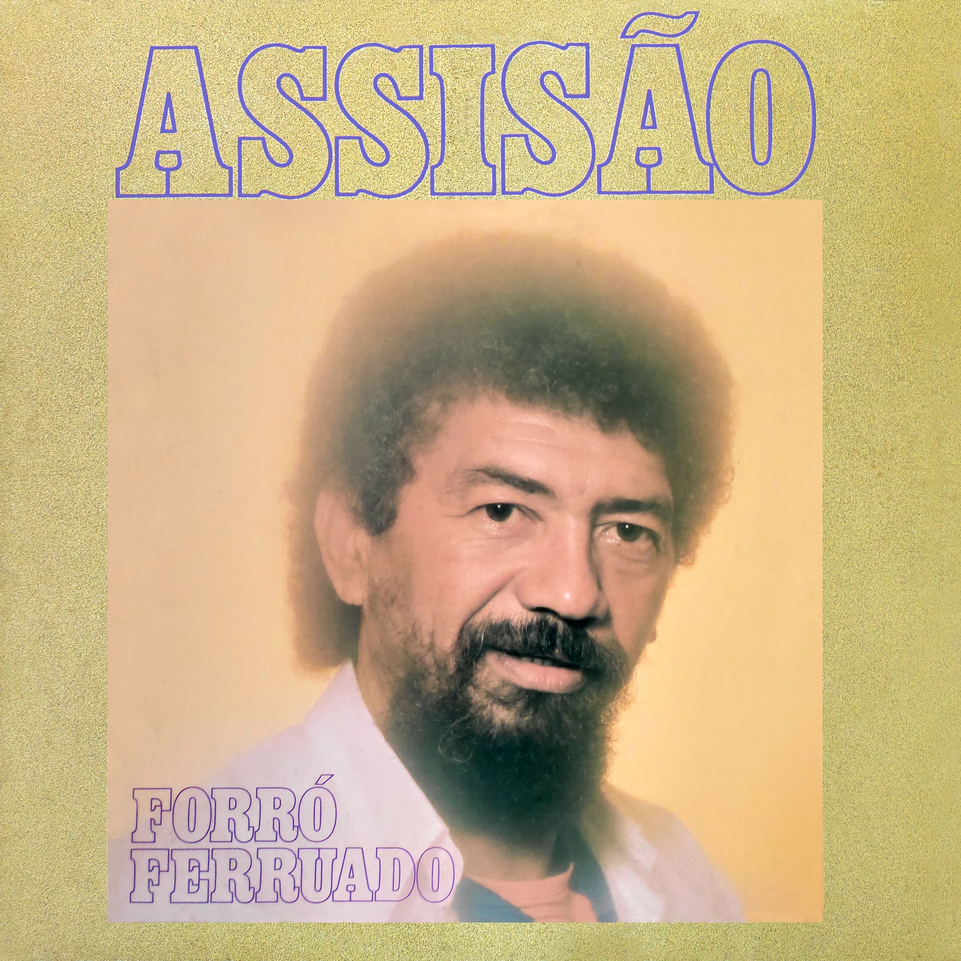 Album cover of Forró Ferruado