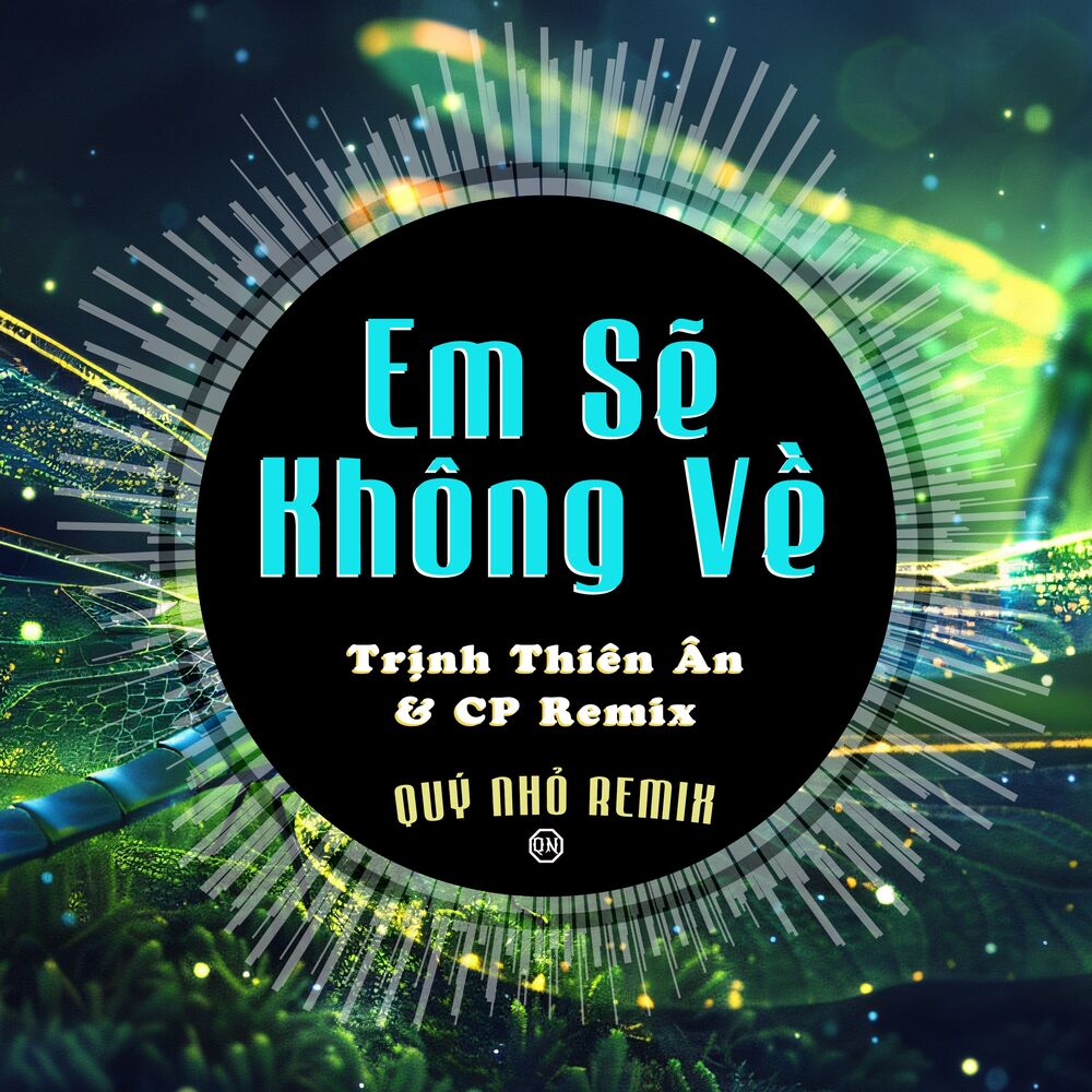 Picture of Em Sẽ Không Về (Remix)