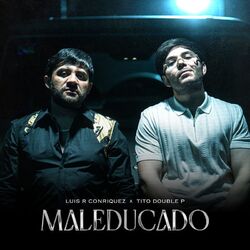 Cover of MALEDUCADO