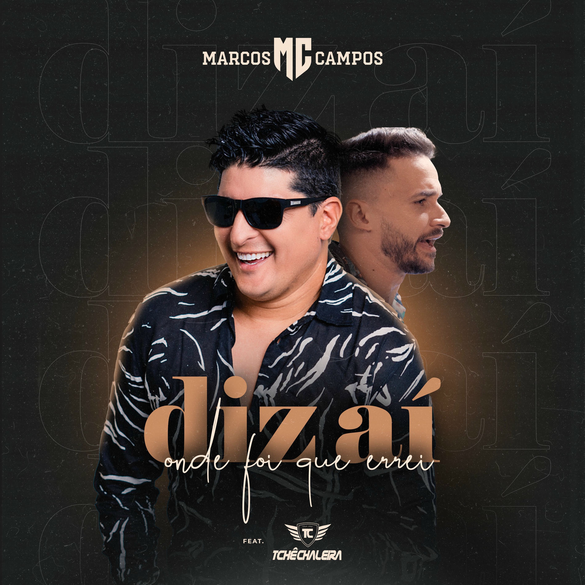 Album cover of Diz Aí Onde Foi Que Errei