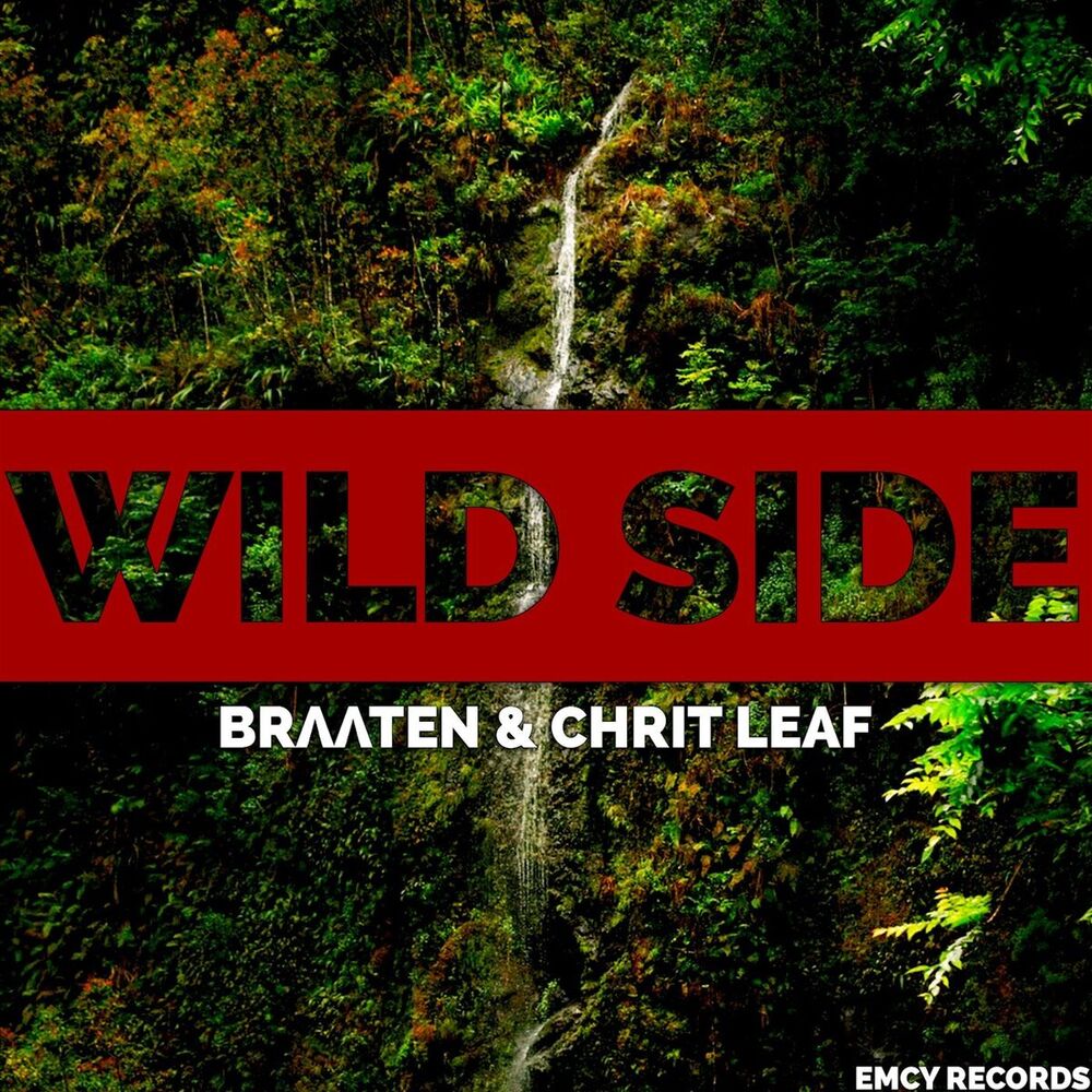 Picture of Wild Side