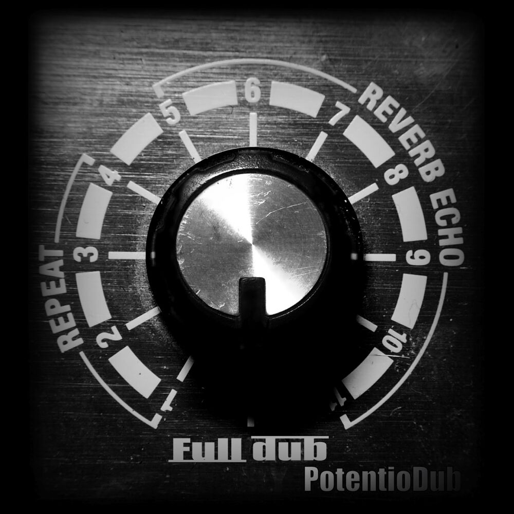 Picture of Potentiodub