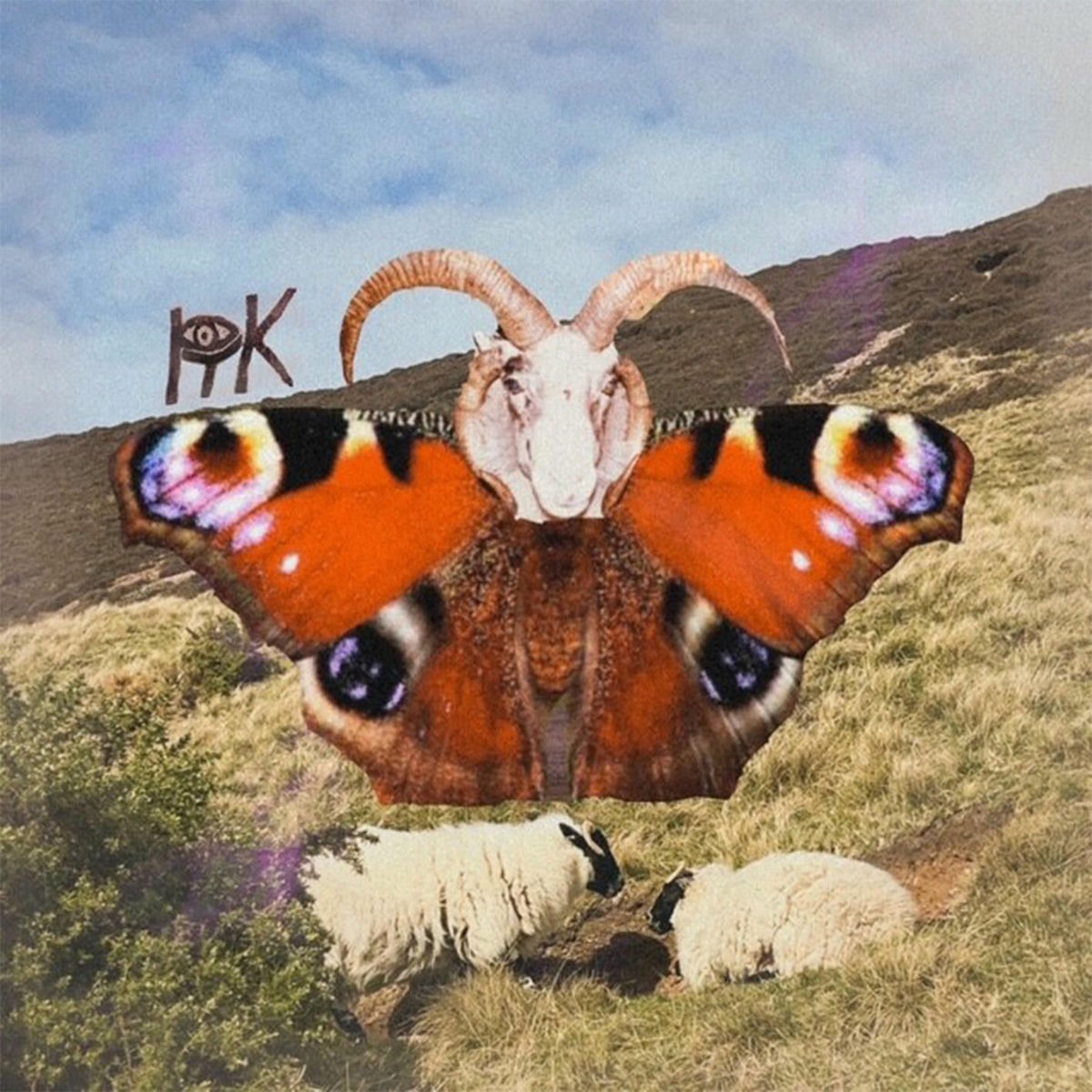 Album cover of Fjärilar