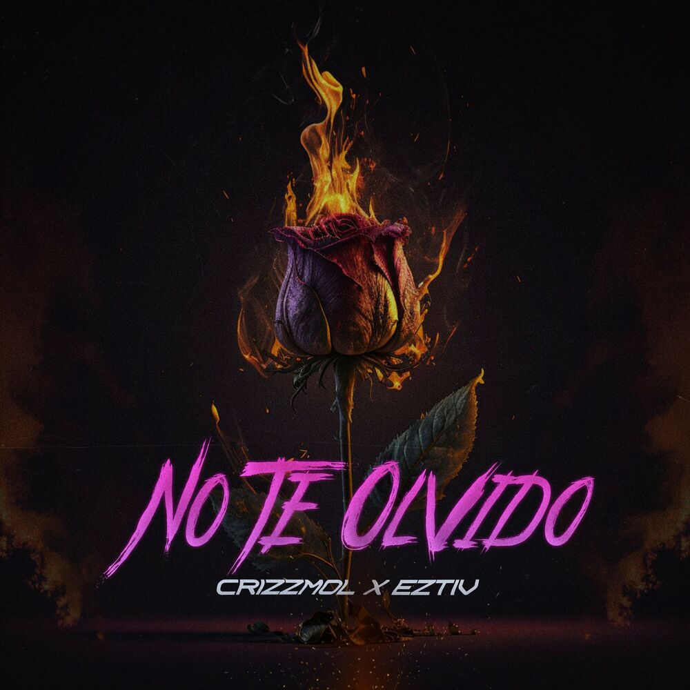 Picture of No Te Olvido
