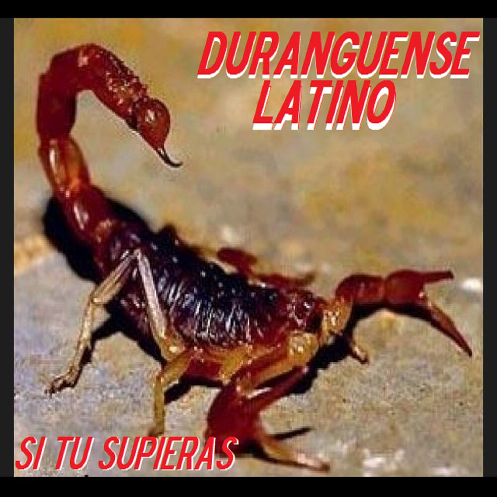Picture of Si Tu Supieras