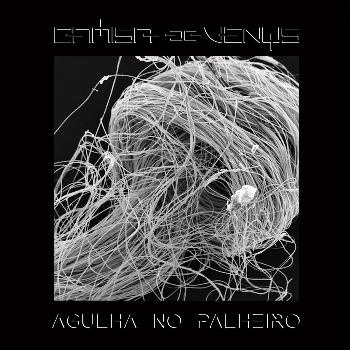 Album cover of Agulha No Palheiro