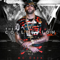Cover of The Collection, Vol. 1