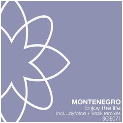 Cover of Enjoy The Life
