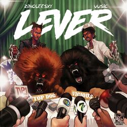 Cover of Lever