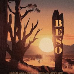 Cover of beso