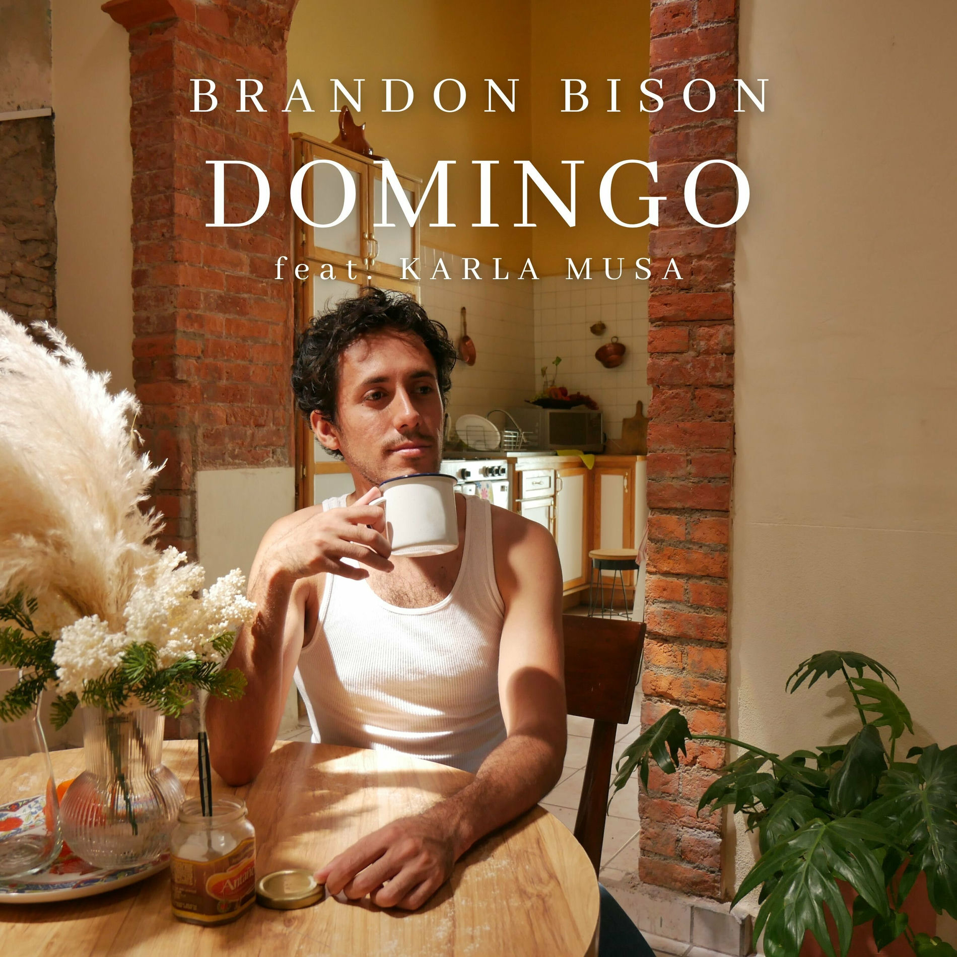 Album cover of Domingo