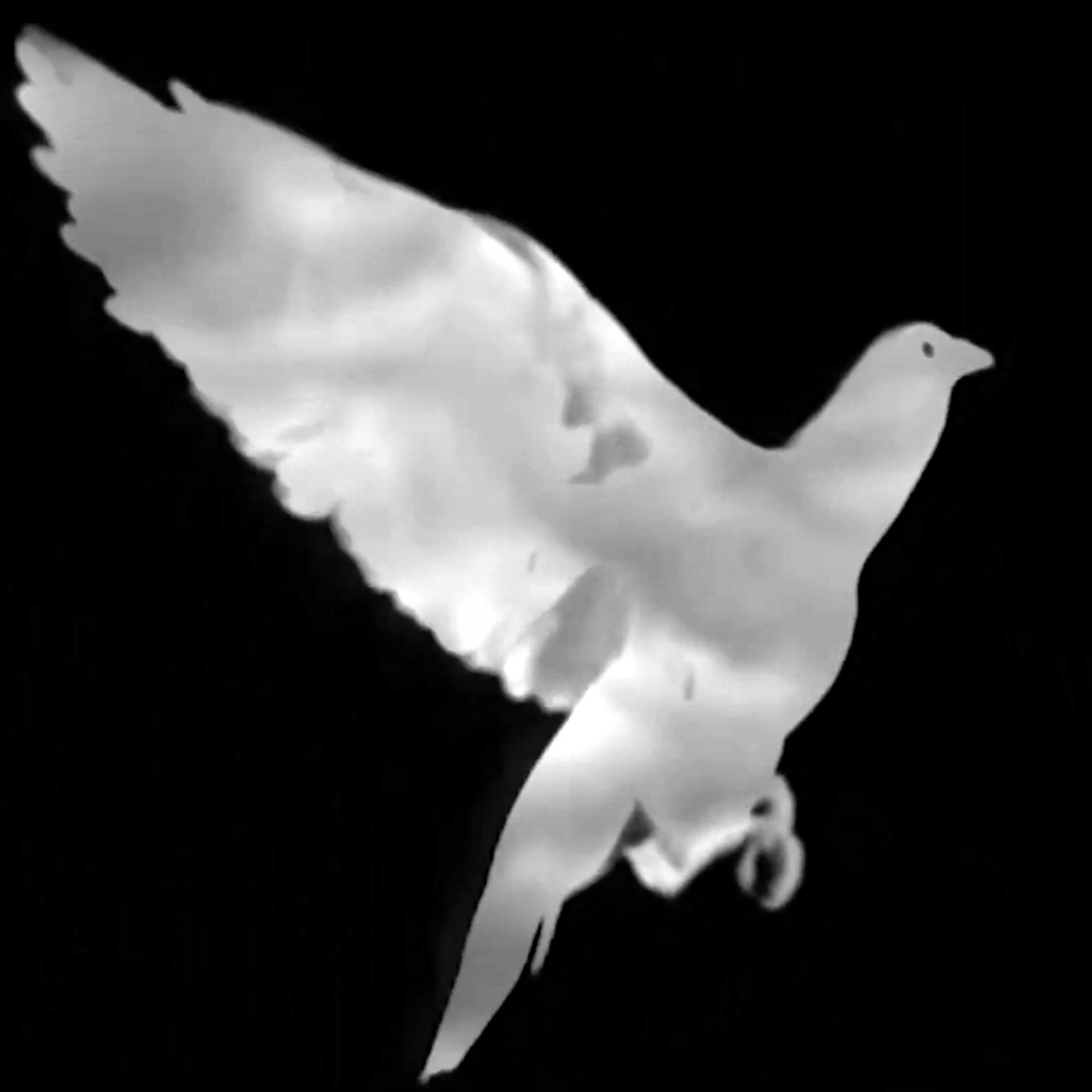 Album cover of Days in Air