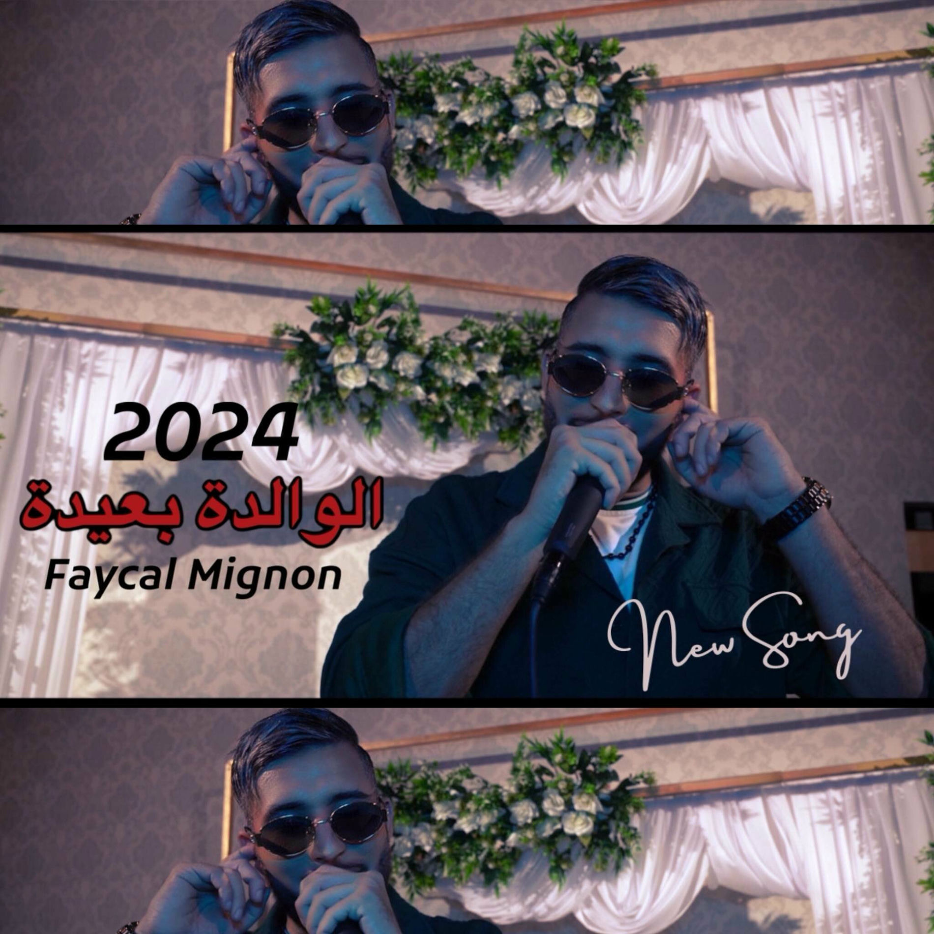 Album cover of Walida B3ida