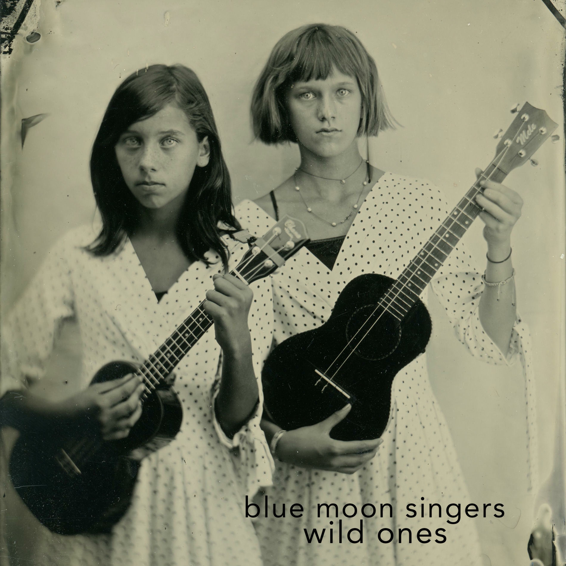 Album cover of Wild Ones (feat. Mick Fleetwood)