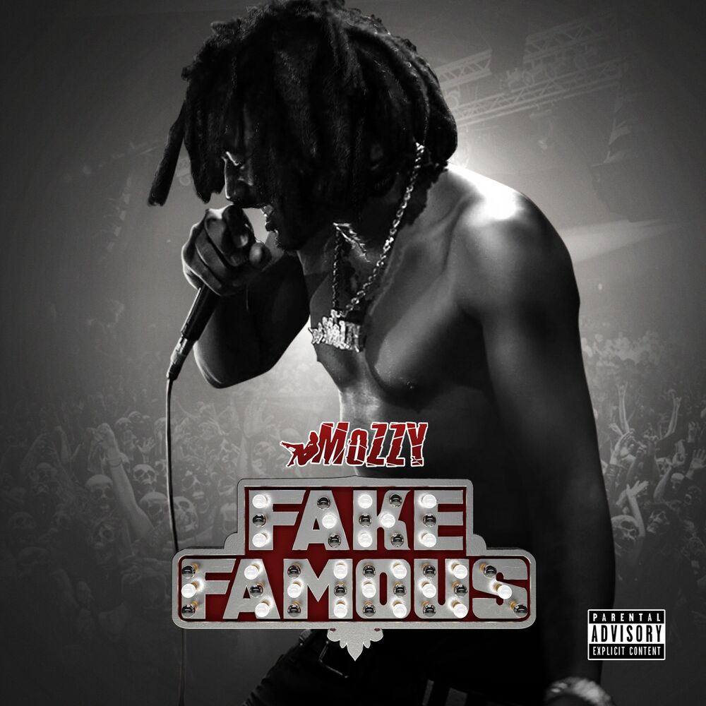 Picture of Fake Famous
