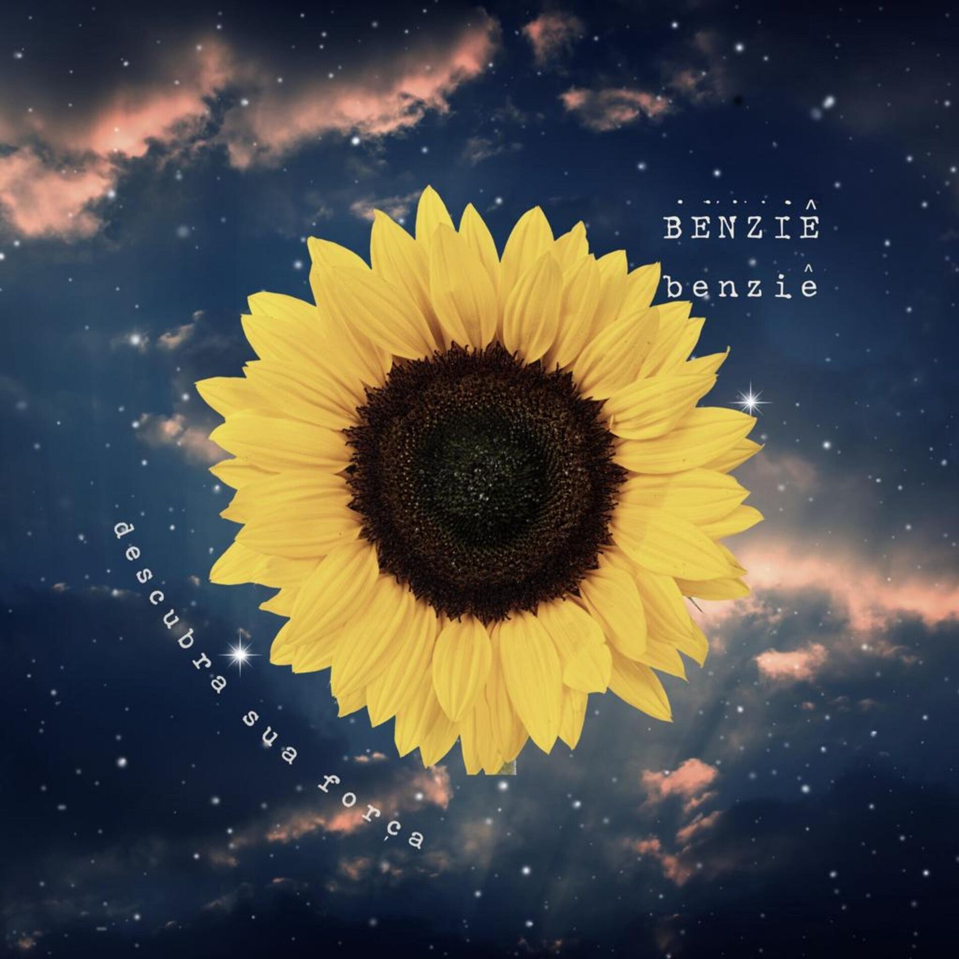 Album cover of Descubra Sua Força