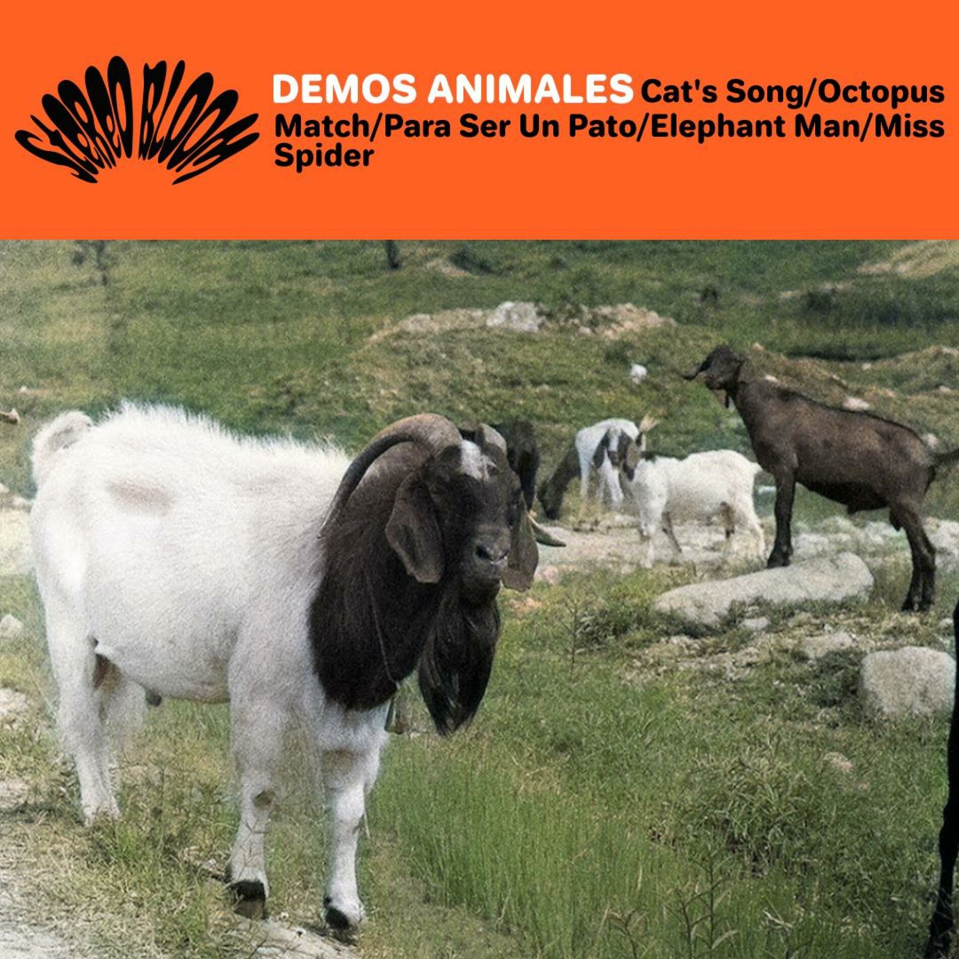 Album cover of Demos Animales