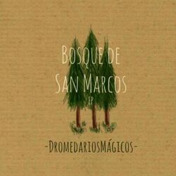 Bosque de San Marcos