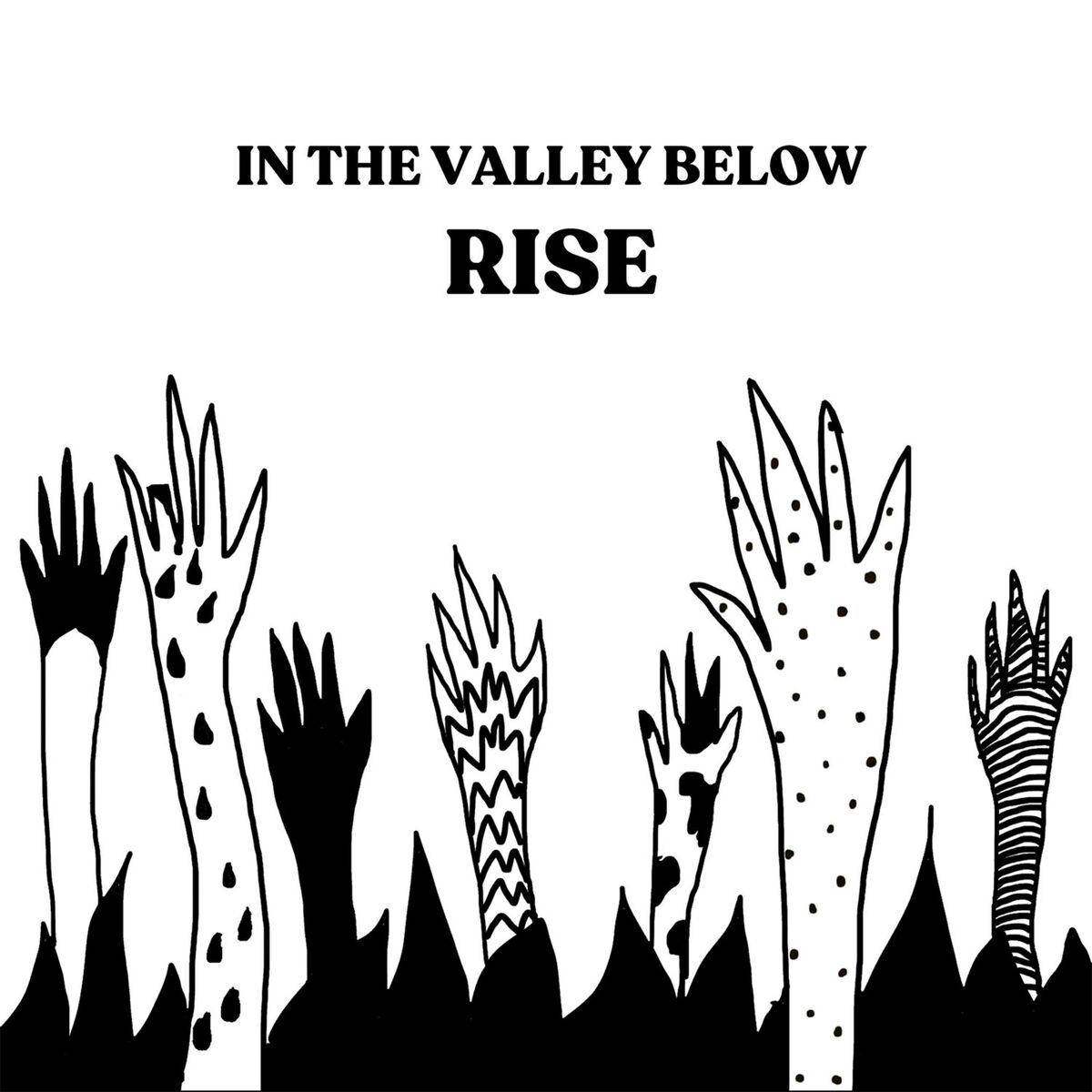 Album cover of Rise