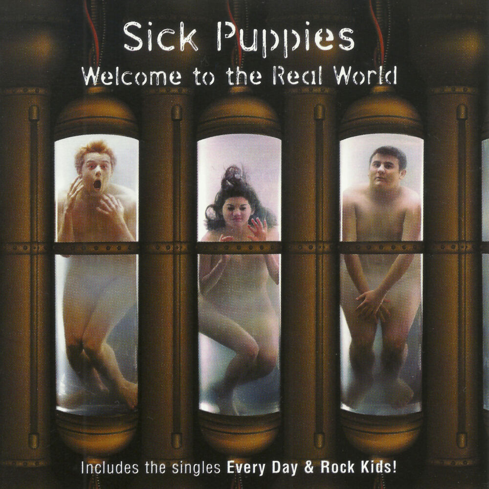 Picture of Welcome To The Real World