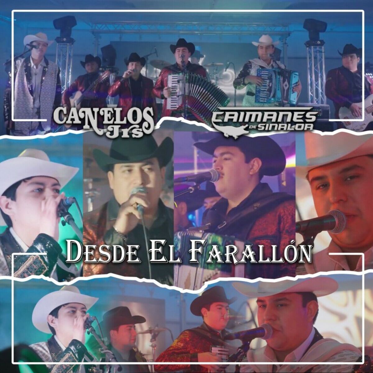 Album cover of Desde El Farallon