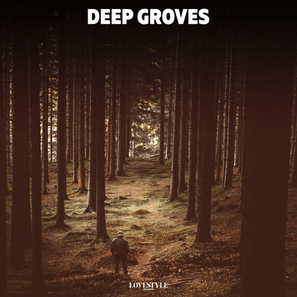 Album cover of Deep Grooves