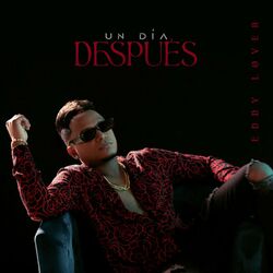 Cover of Un día despues