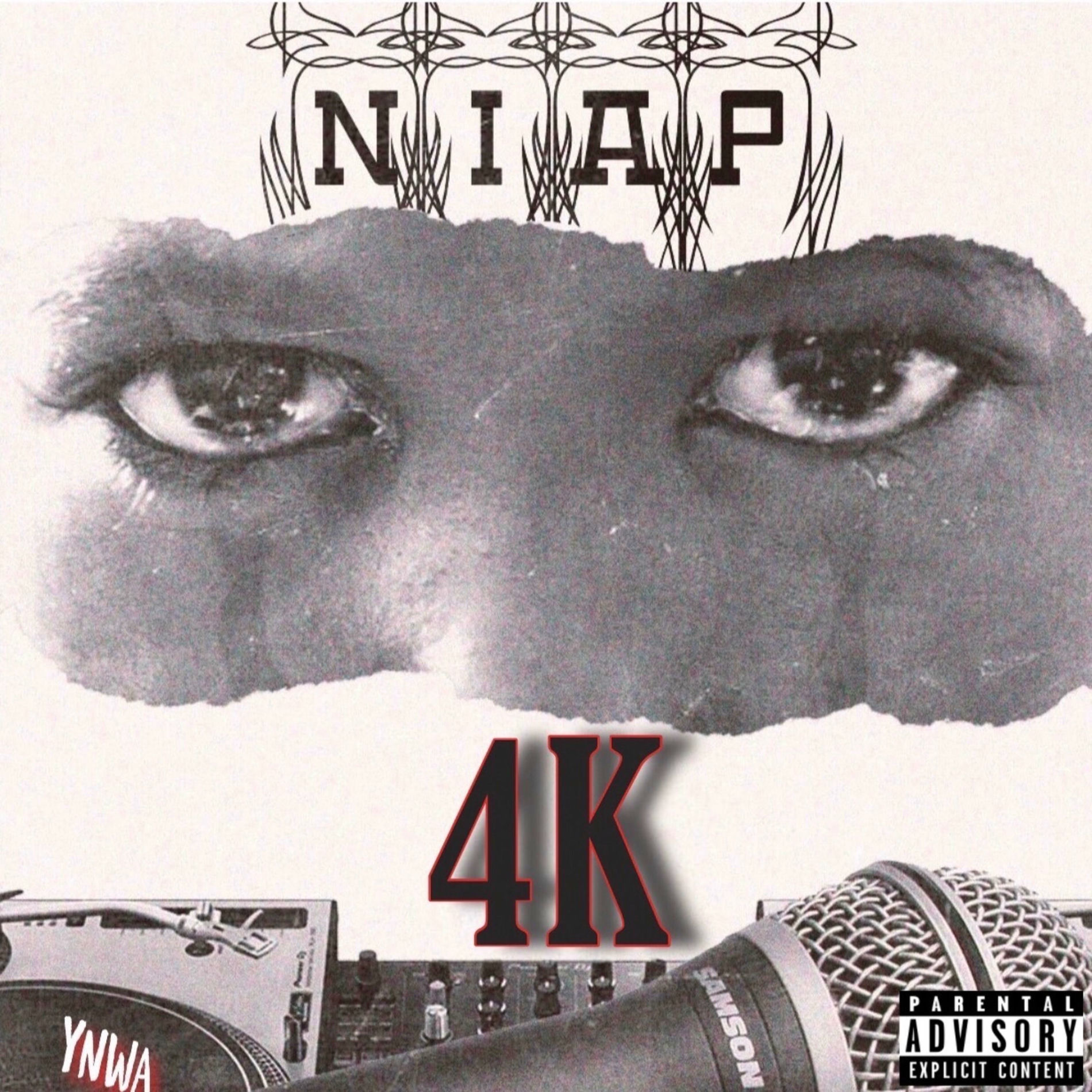 Album cover of Niap