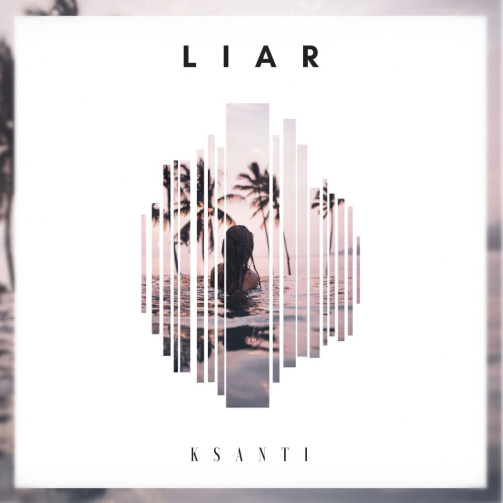 Picture of Liar