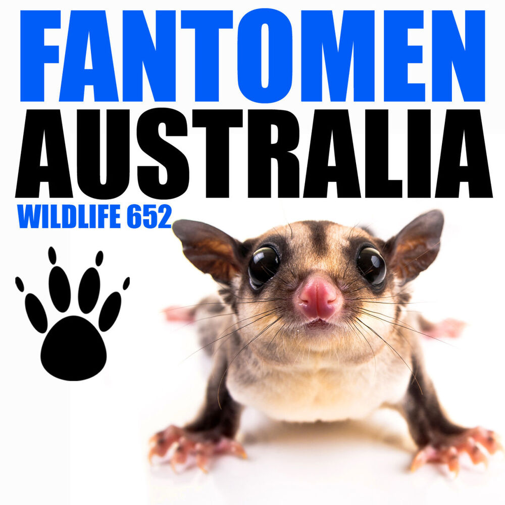 Picture of Australia