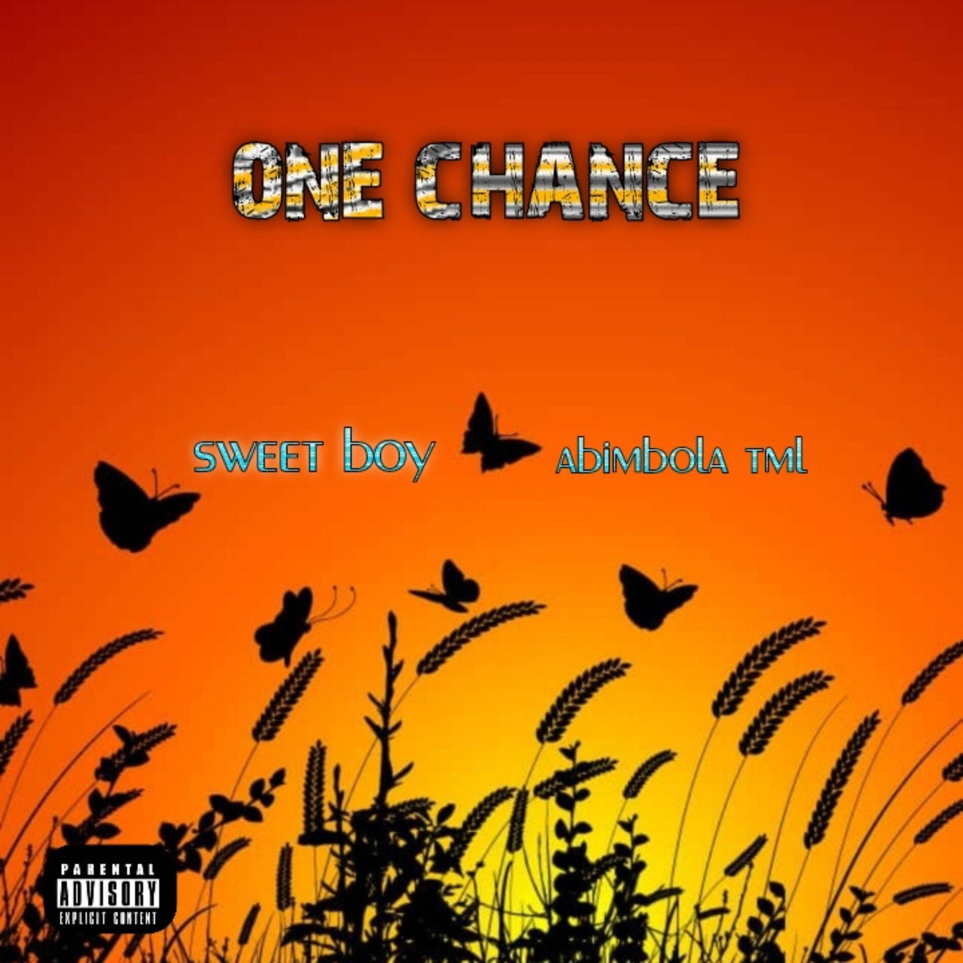 Album cover of One chance