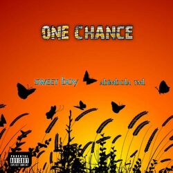 Cover of One chance