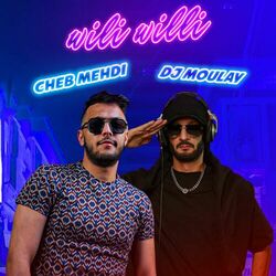 Cover of Wili Willi