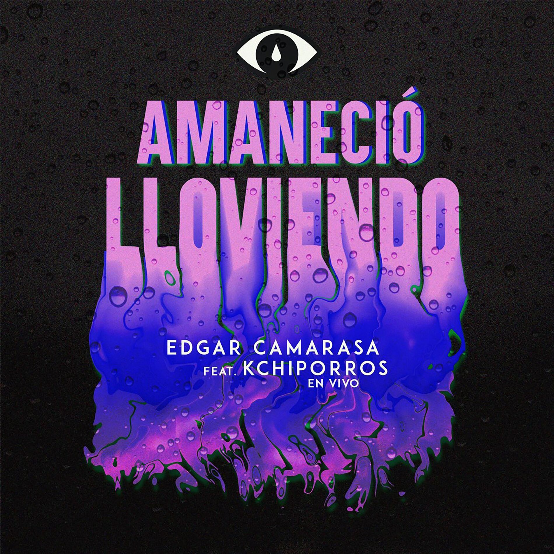 Album cover of Amaneció Lloviendo (En Vivo)