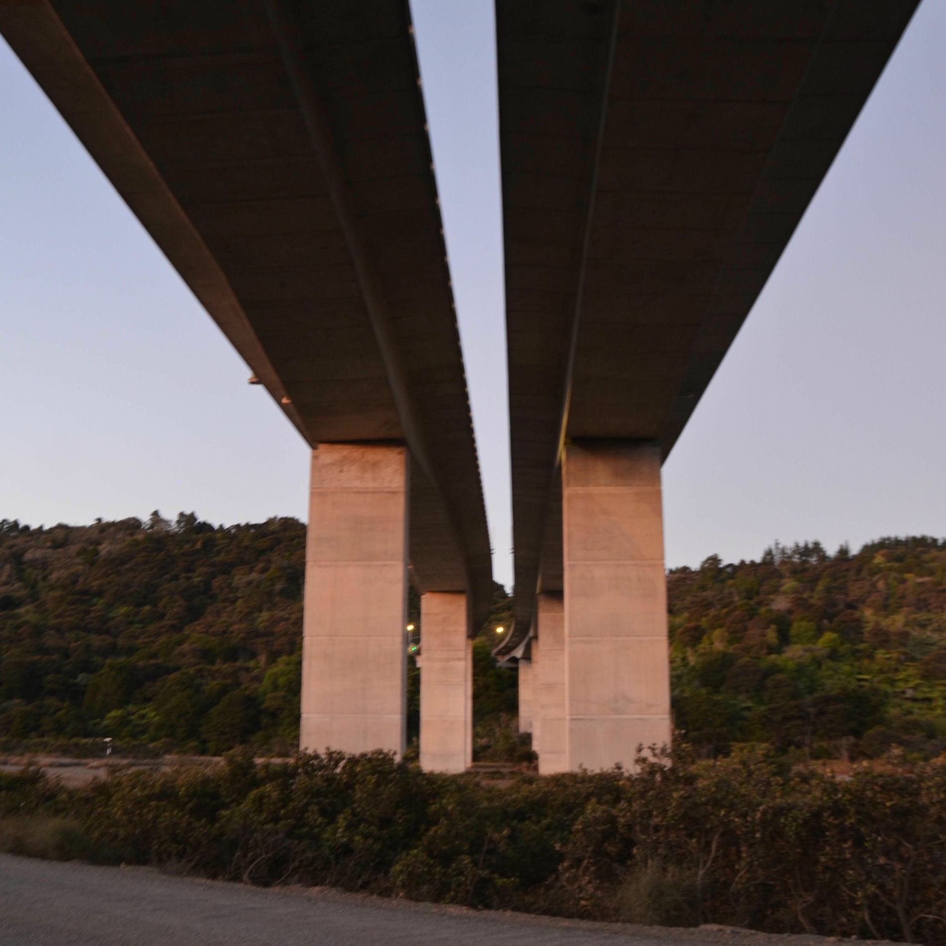 Album cover of Reflections