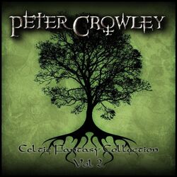 Cover of Celtic Fantasy Collection, Vol. 2