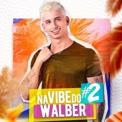 Cover of Na Vibe do Walber 2