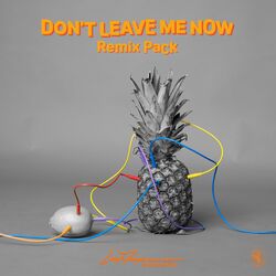 Cover of Don't Leave Me Now (Remix Pack)