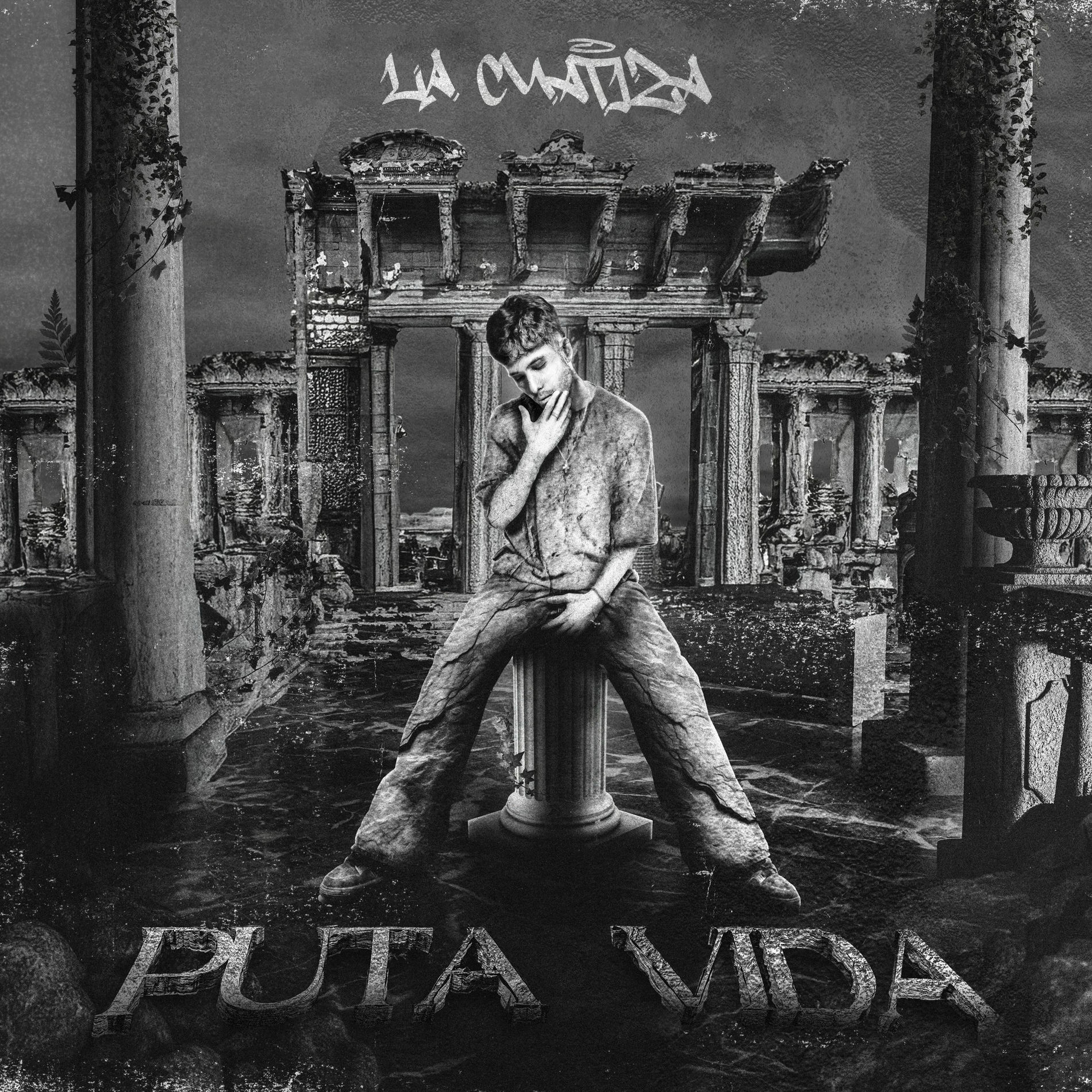 Album cover of Puta Vida