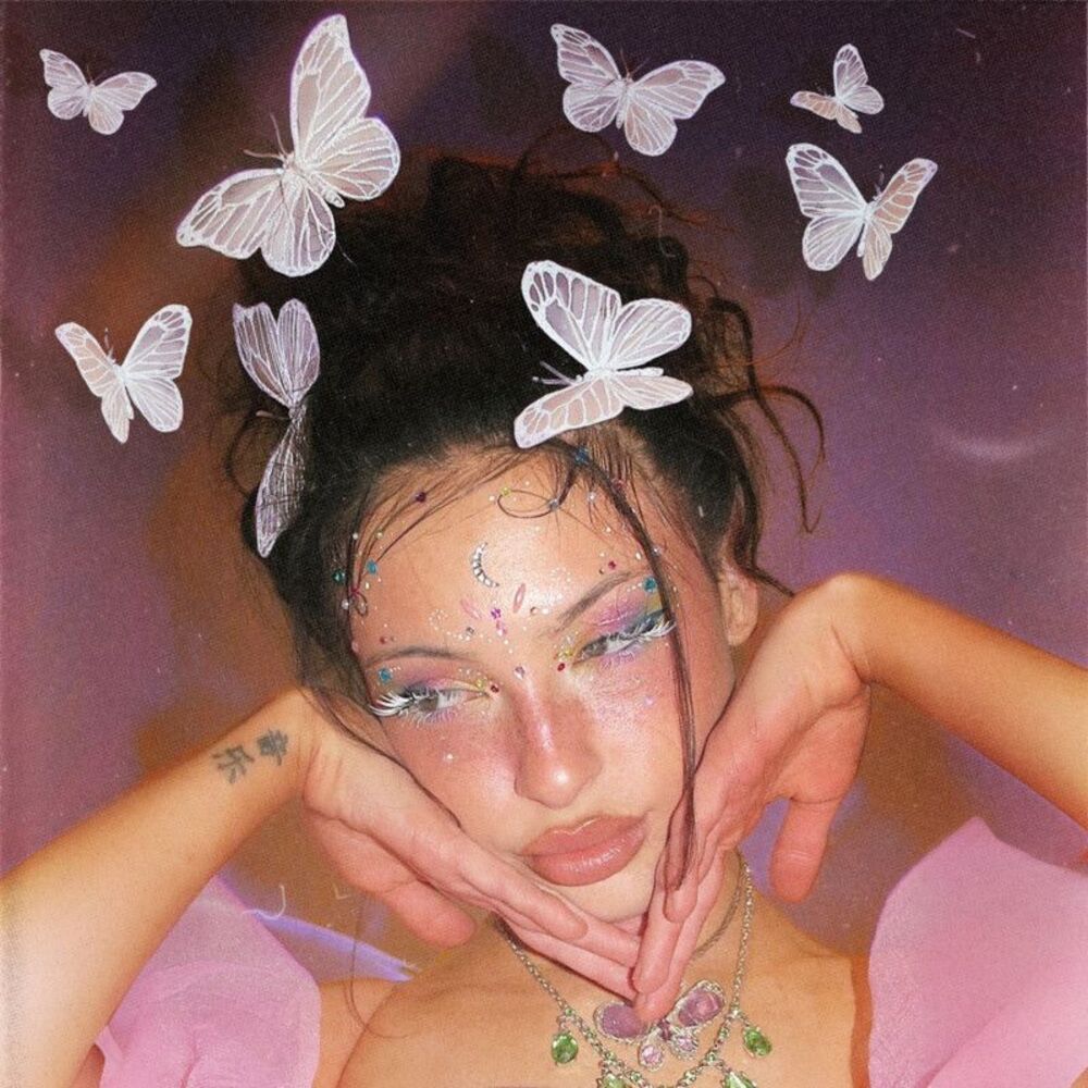 Picture of butterflies