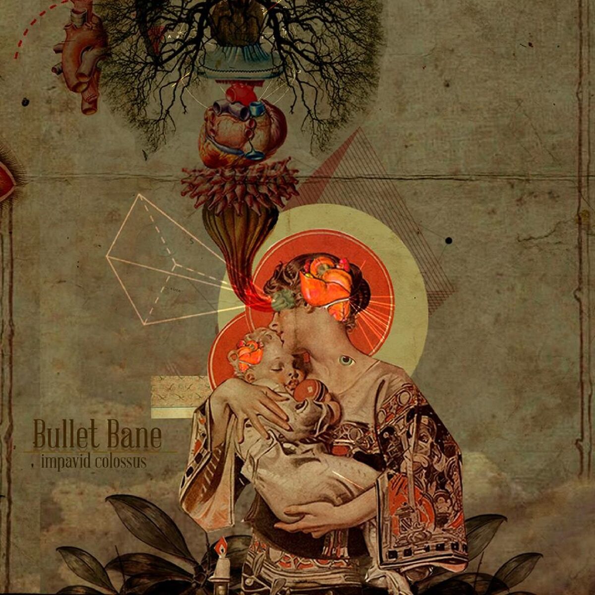 Album cover of Impavid Colossus