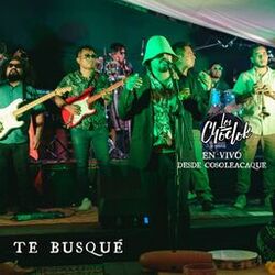 Te Busqué (En Vivo Desde Cosoleacaque)
