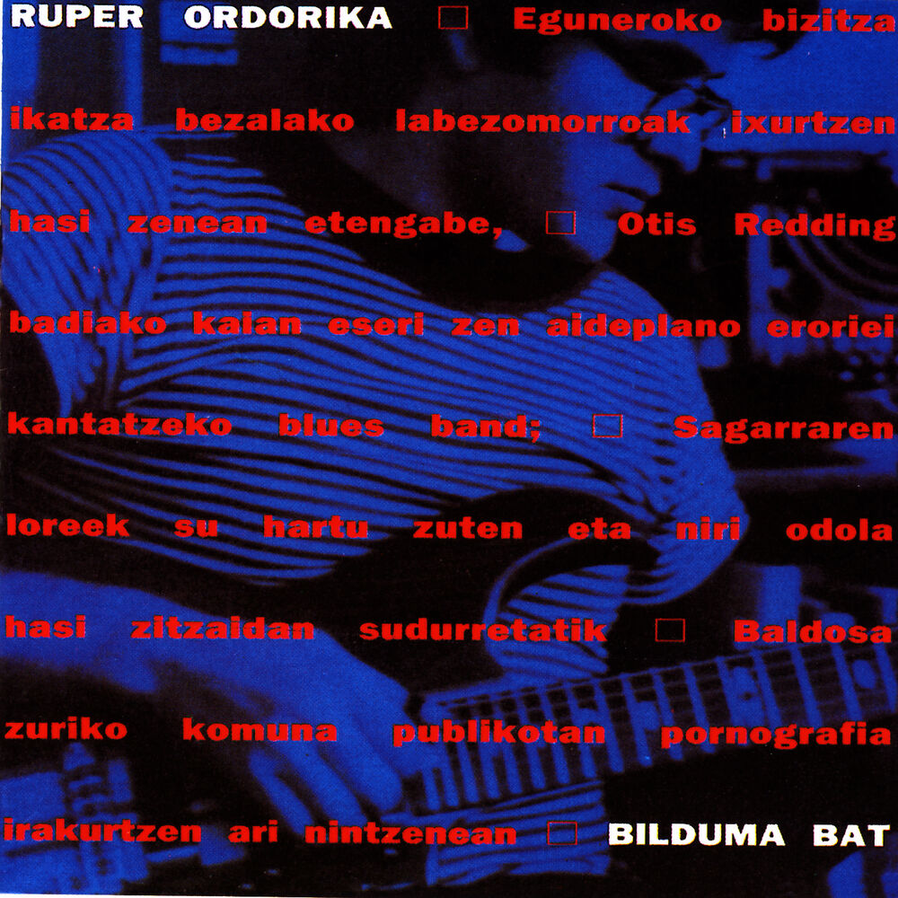 Picture of Bilduma Bat