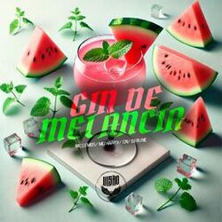 Cover of GIN DE MELANCIA