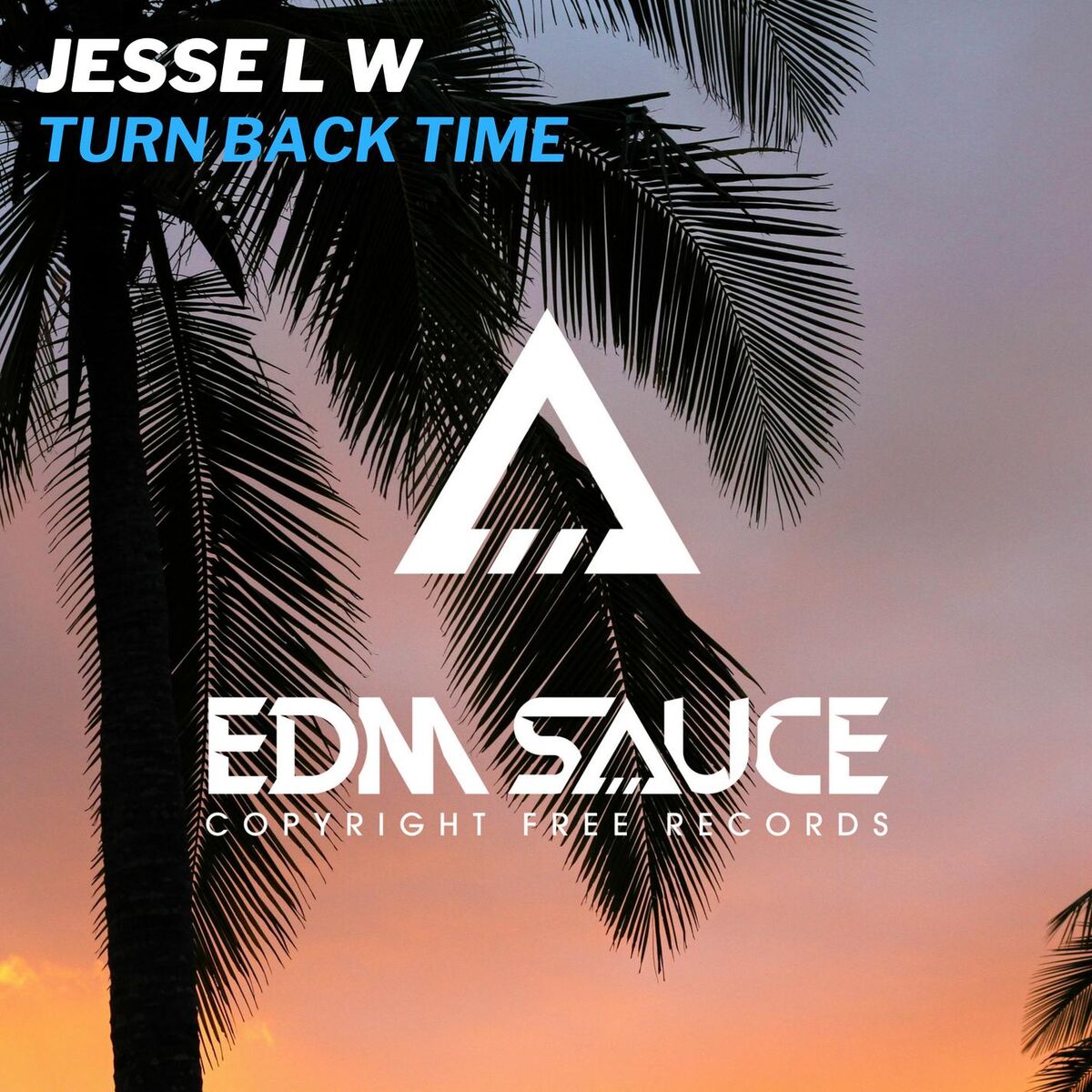 Album cover of Turn Back Time