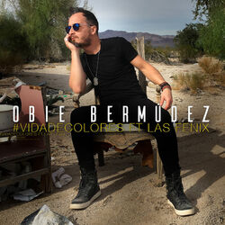 Cover of Vida de Colores (Norteño Remix)