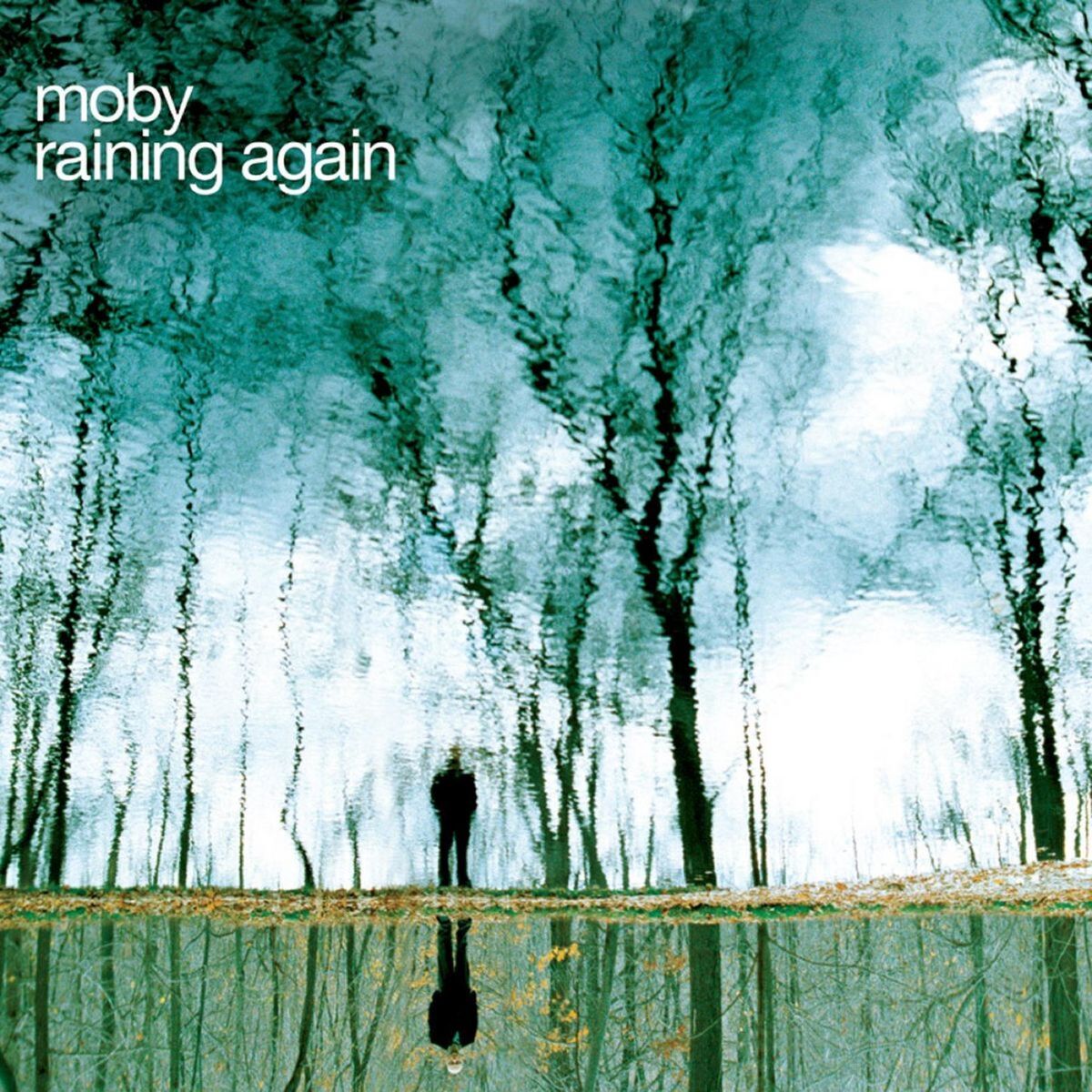 Album cover of Raining Again