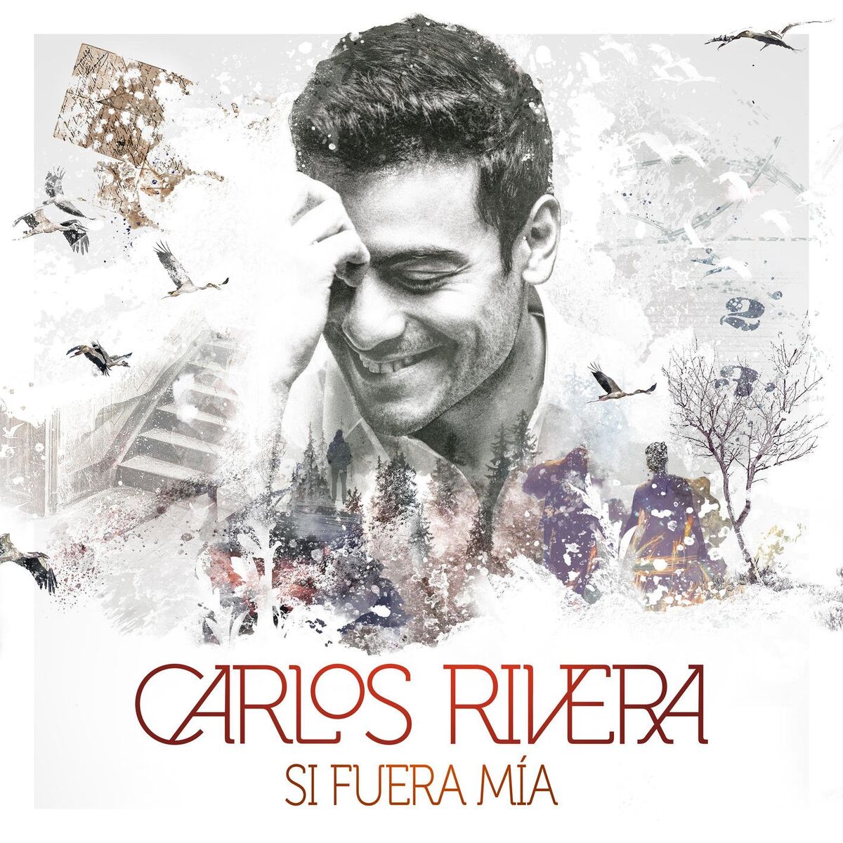 Album cover of Recuerdos de Amor (Lembranças de Amor)