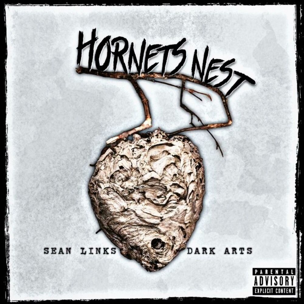Picture of Hornets Nest